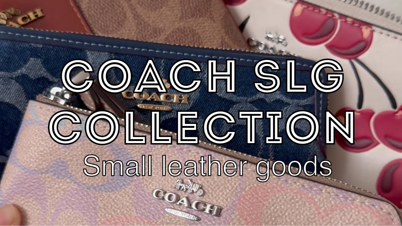 Коллекция кожаных сумок Coach Small | SLG 2026