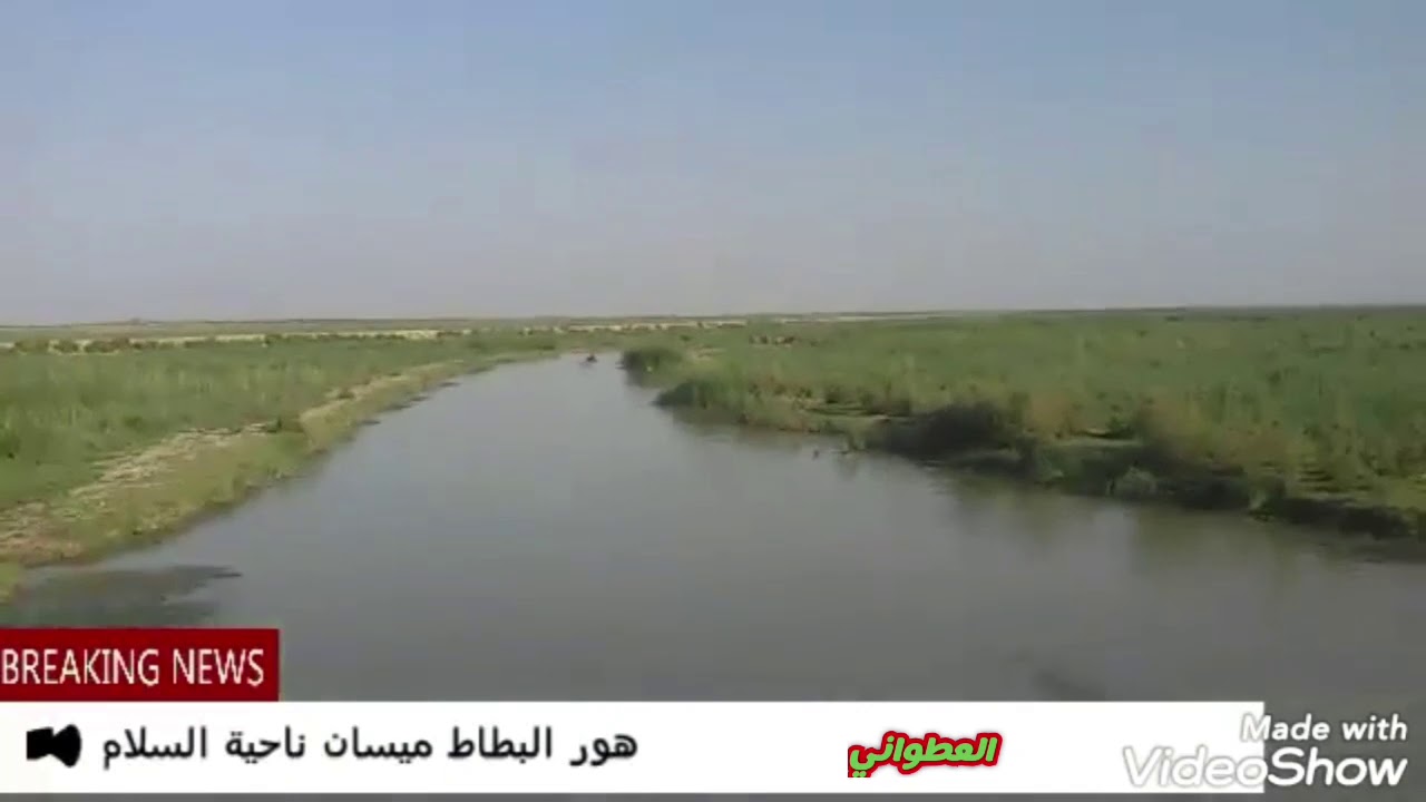 أهوار العراق /هور البطاط في ناحية السلام محافظة ميسان