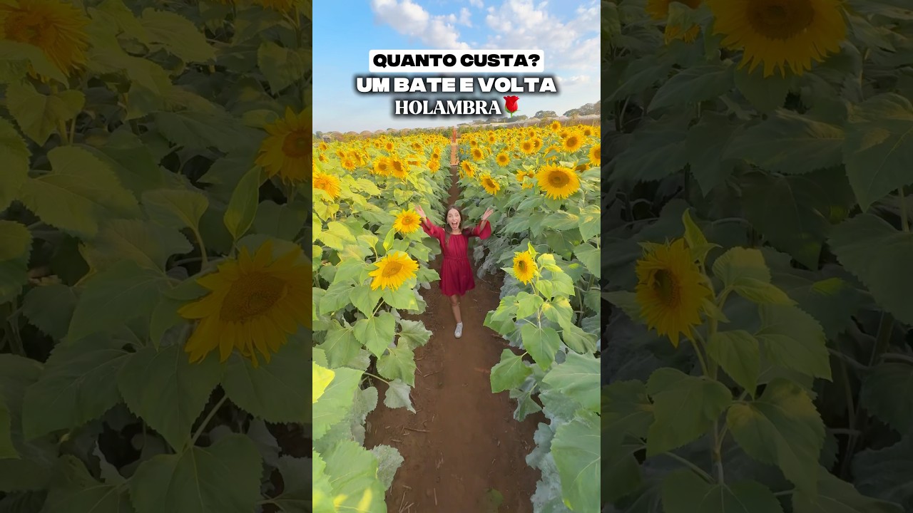 1 DIA EM HOLAMBRA 🌹