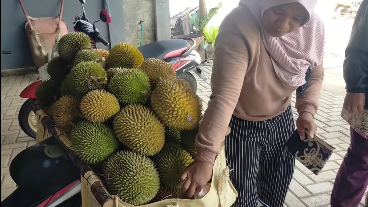 Durian lokal Trenggalek murah meriah
