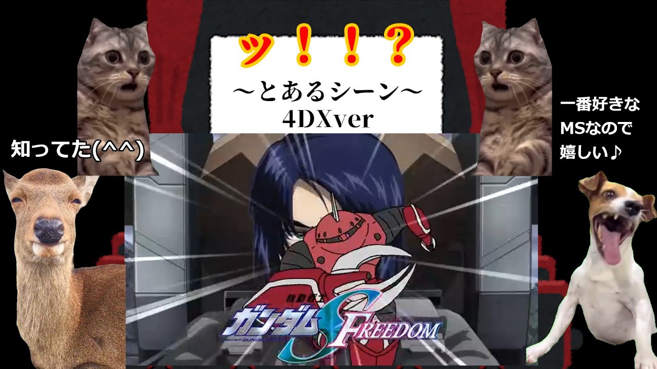 猫ミームで見るガンダムSEED劇場版　4DX編（微ネタバレあり）