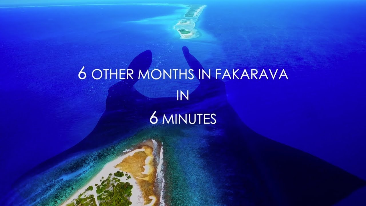 Back to Fakarava : 6 month Diving in 6 Minutes