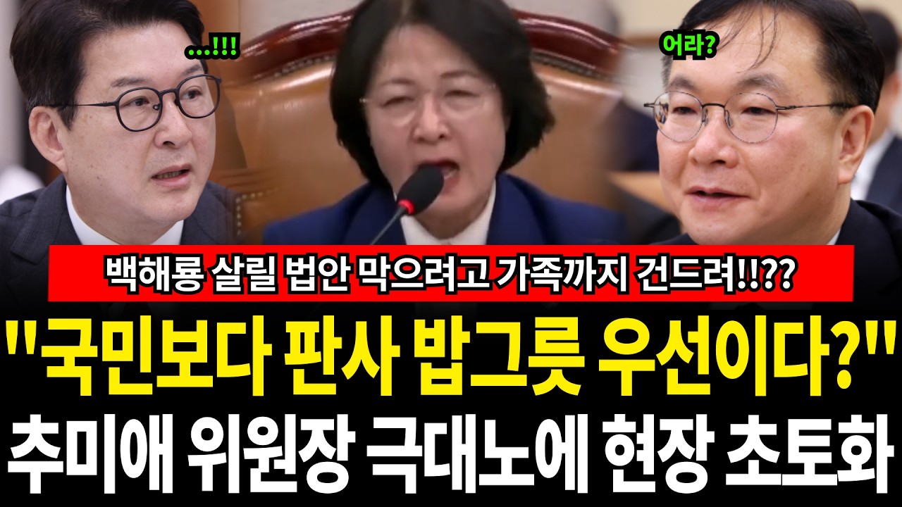 수사 외압 백해룡 두 번 죽이는 사법 카르텔의 민낯! 신동욱의 인신공격과 박영재의 억지 논리 박살 난 결정적 순간!!