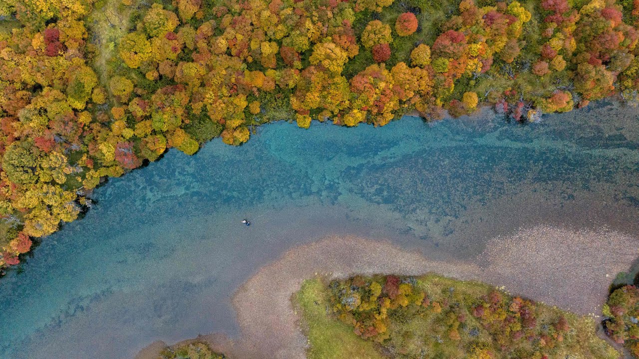 Grand Slam Pesca con Mosca Arcoiris Fontinalis Salmón Encerrado y Trucha Marrón Aguas Arriba ESPN