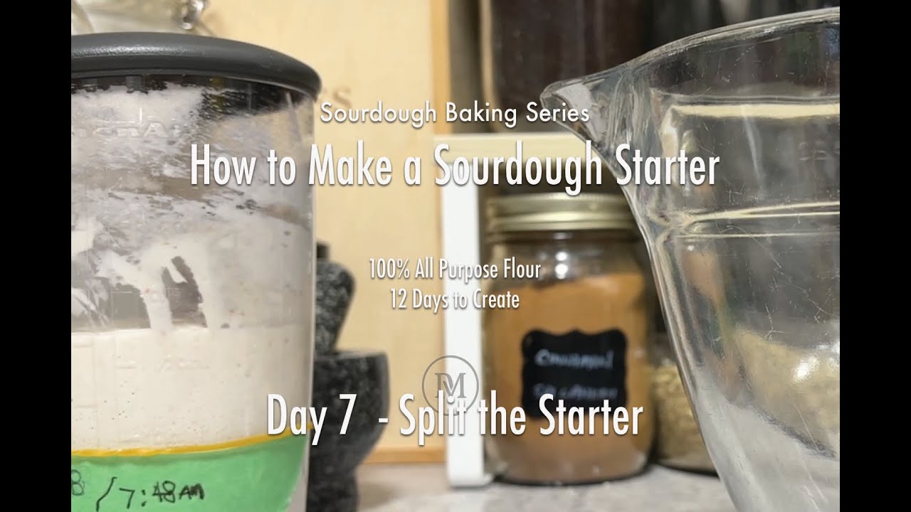 Day 7 - How to Make a Strong Sourdough Starter -  Beginner Friendly