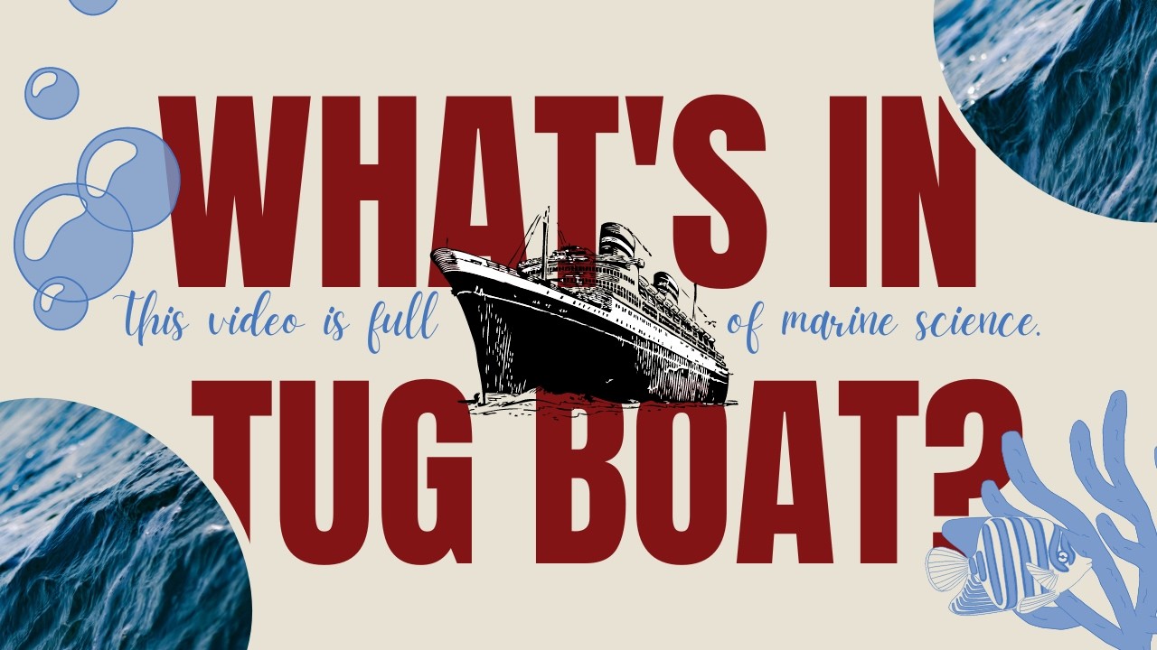 How Tugboats Tow Massive Cruise Ships: Explained with Animation | The Science Explained #sea
