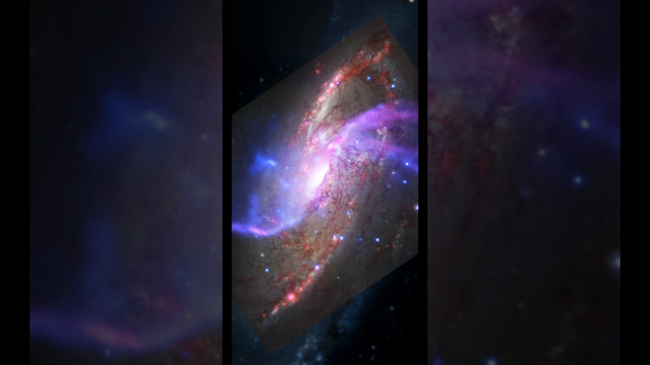 Black Hole Influence on Galaxy Evolution: New Insights from NGC 4258,#shorts