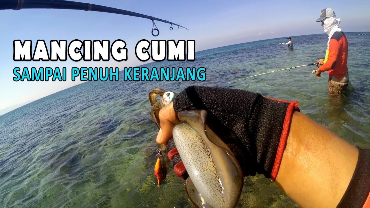 REKOR BARU !! Mancing Cumi Dapat Sebanyak Ini, Strike Babon Semua