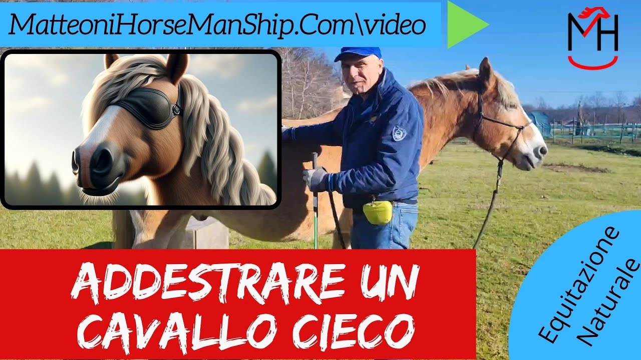 Addestrare un cavallo Cieco