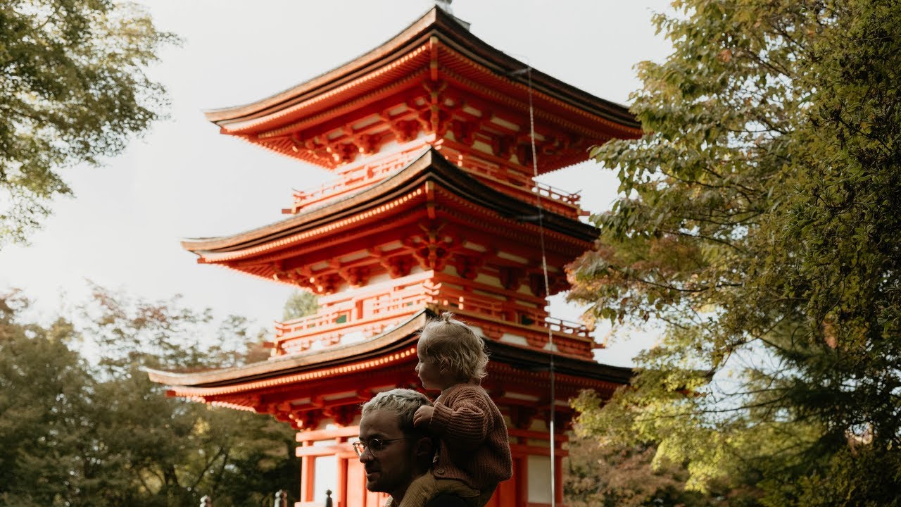 memoirs of japan | nikon z6iii + N-LOG cinematic travel