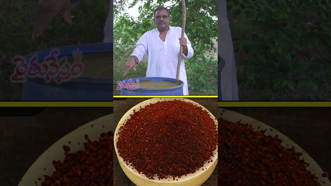 కూరగాయలు, పండ్ల దిగుబడి పెంచే ద్రావణం #farming #jeevamrutam #agriculture #raitunestham
