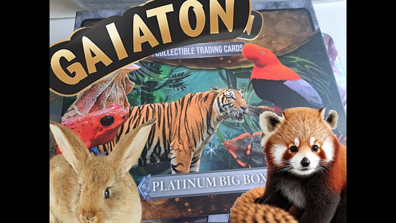 Unboxing my Gaiaton Platinum Big Box Bundle.