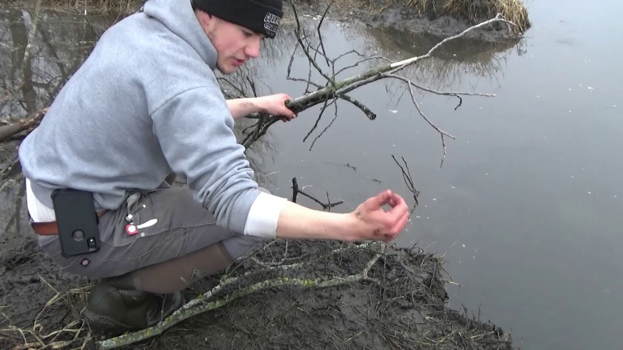 How to Remake a Beaver Castor Mound Set