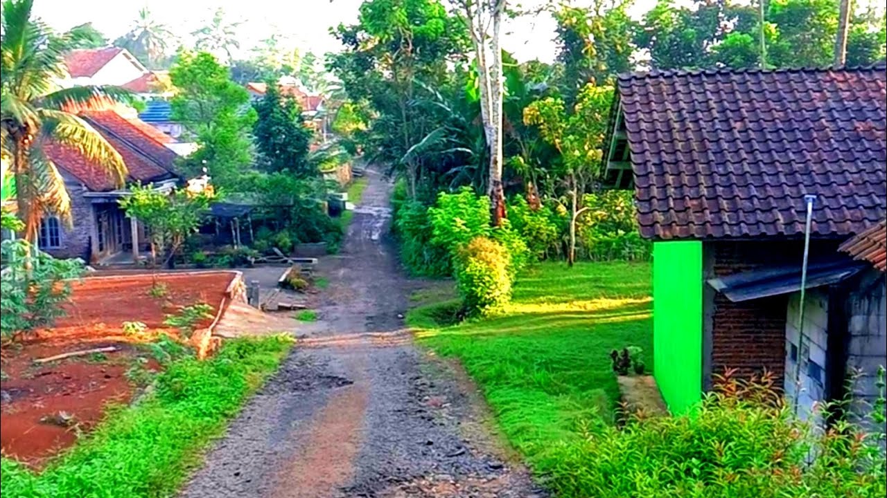 susana setelah lebaran di kampung  dusun karang bolang ,desa  penyarang cilacap