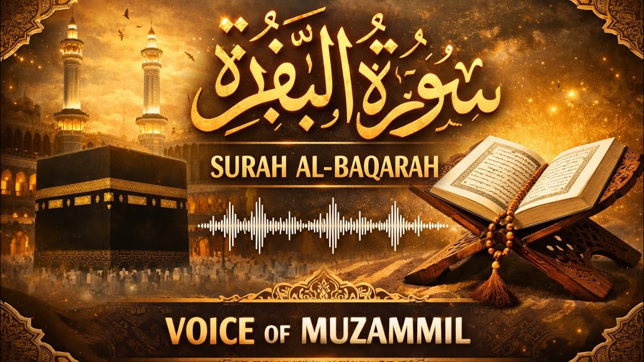 Recitation Surah Al Baqara Beautiful Recitation Of The Holy Quran In My Original Voice Tilawt Quran 