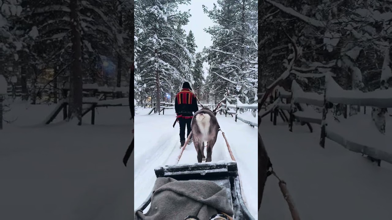 Wilderness Hotels: Winter Wonderland in Lapland