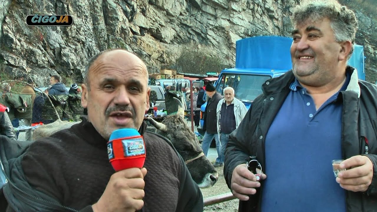 ZMAJ I PERO GALIC ARANDJELOVDAN VASAR MRKONJIC GRAD 2019