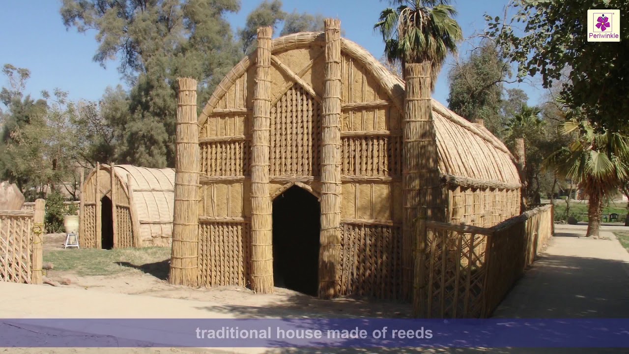 So Many Homes | Social Studies For Kids | Grade 2 | Periwinkle