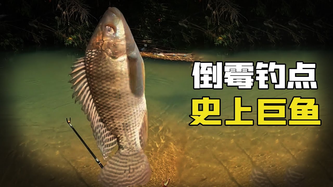 野釣倒霉釣點，跑魚斷竿到沒脾氣，結局暴躁大魚直接用手抓！