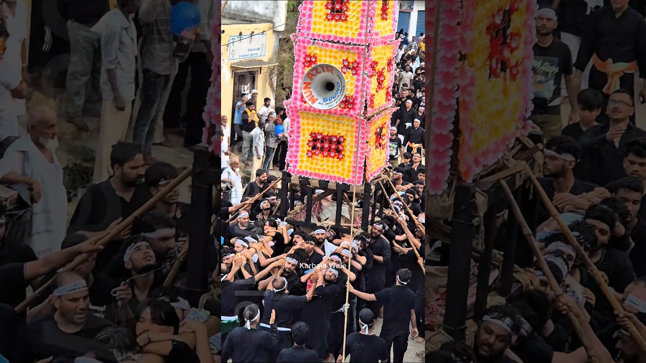 Muharram Taziya 2025 Naugawan Sadat | 10 Muharram Juloos | Full Azadari | Muharram 1447 #tajiya