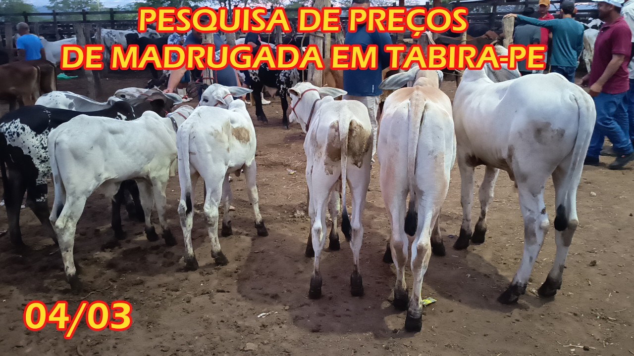 Pesquisa de preços de Madrugada em Tabira-PE (04/03/26)