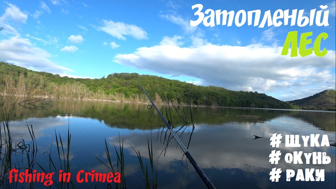 Все таки рыба есть! Горлинское водохранилище, Крым рыбалка