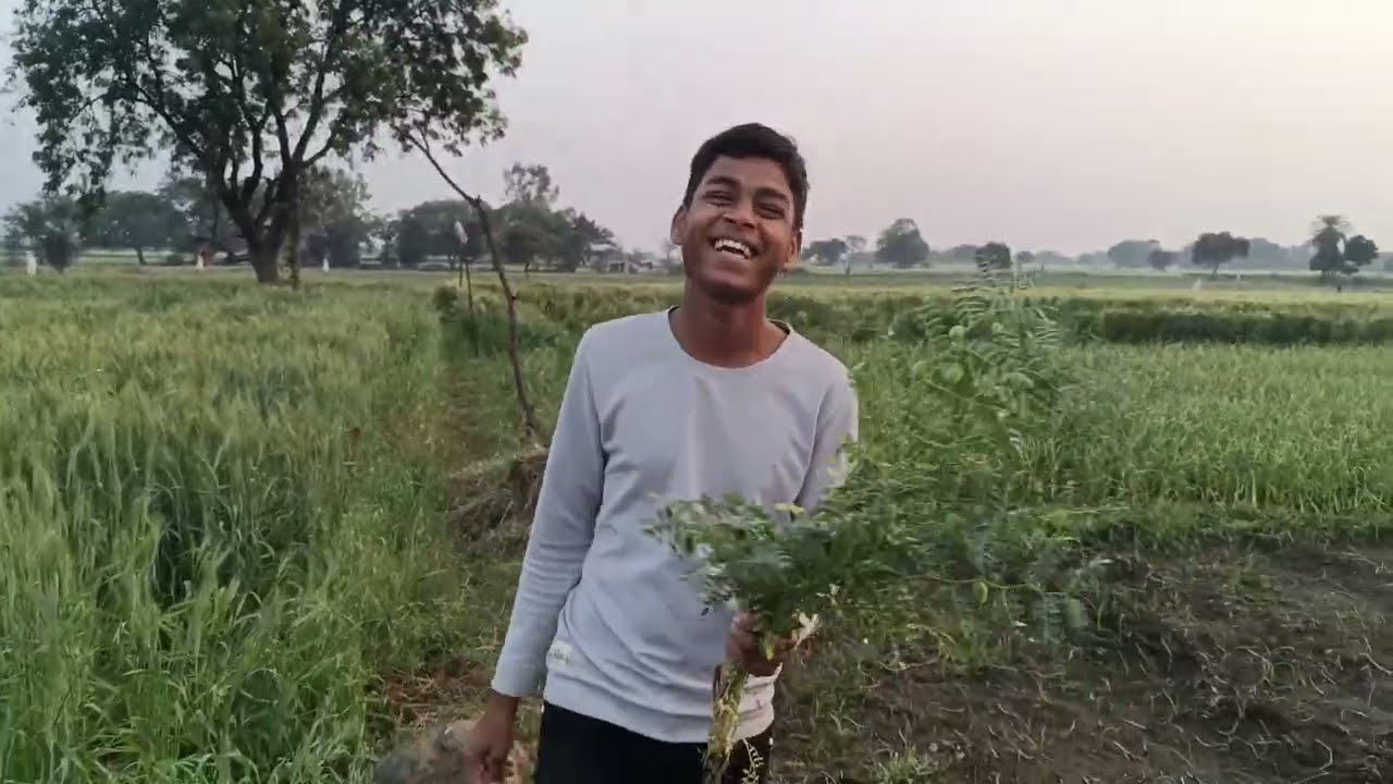 Farmer Boys vlogs 