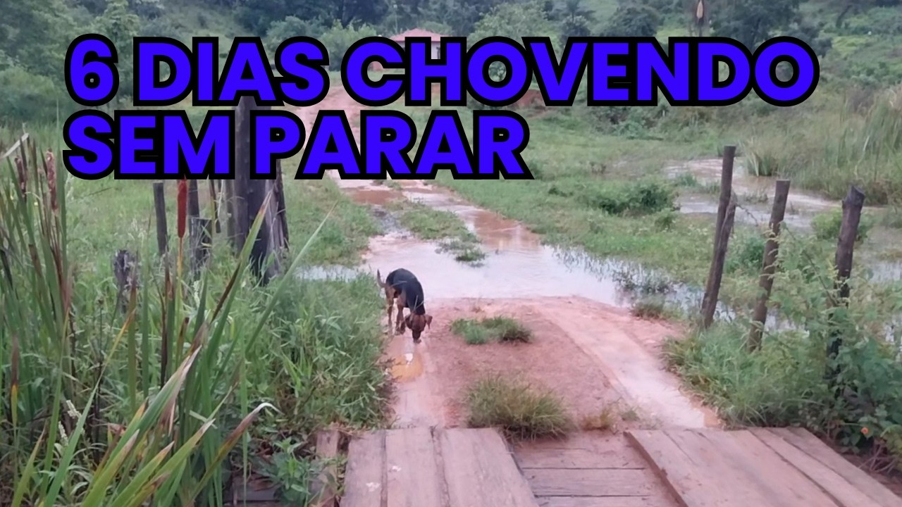 6 DIAS CHOVENDO SEM PARAR  VEJA COMO FICA, SÓ GRATIDÃO 🙏 #VIDANAROÇA