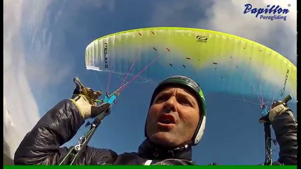 Papillon Praxistest Ozone Mojo 5