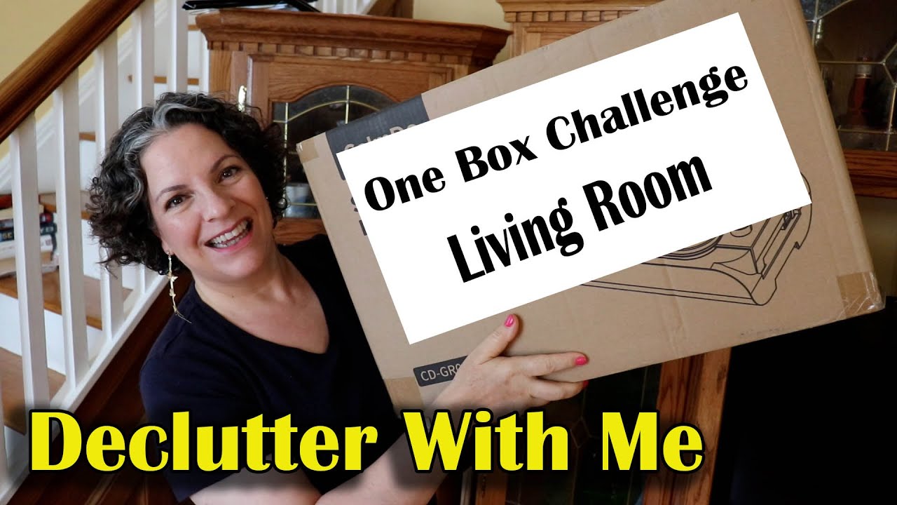 One Box Challenge || Living Room ||
