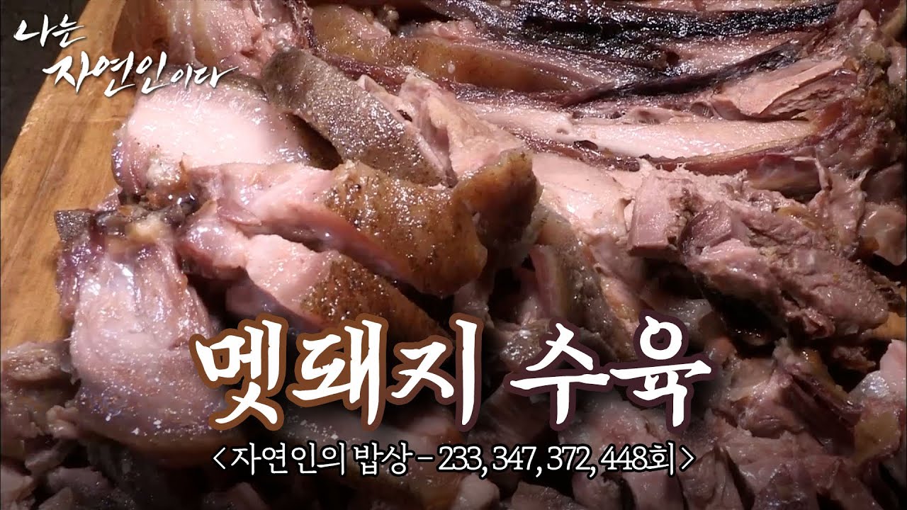산돼지 고기를 부드럽고 맛있게 즐기는 방법! 수육 먹방 모음집🐗~｜자연인의 밥상