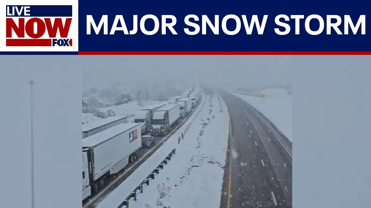 Snow storm: Disaster emergencies declared in New Mexico & Colorado | LiveNOW from FOX
