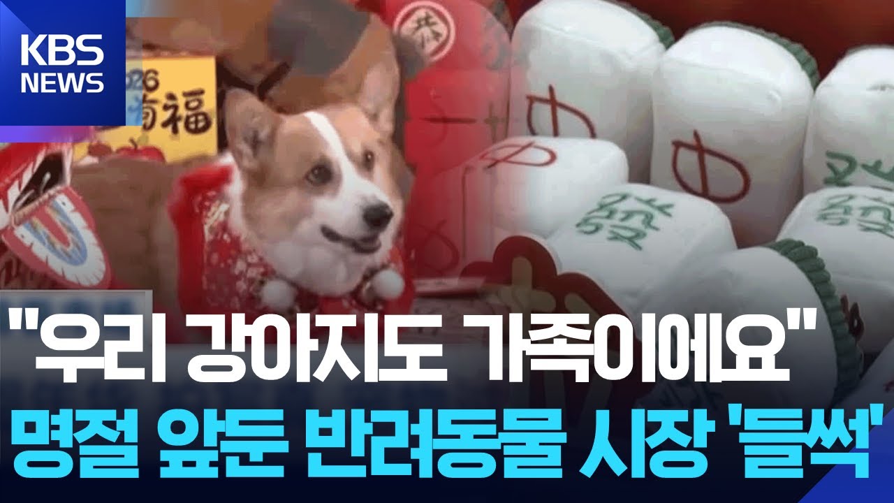 [글로벌K] 중국, 춘절 앞두고 반려동물 시장도 들썩 / KBS  2026.01.29.