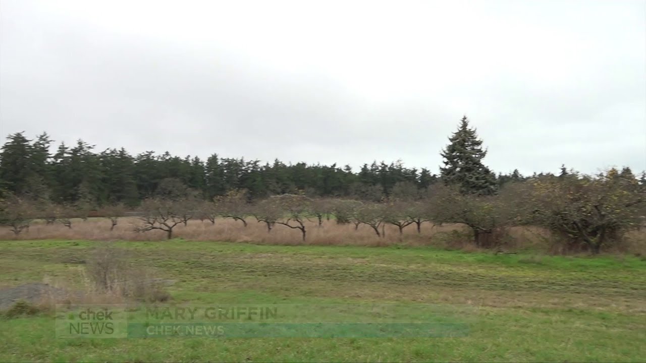 UVic development proposal could be biggest housing development in the region