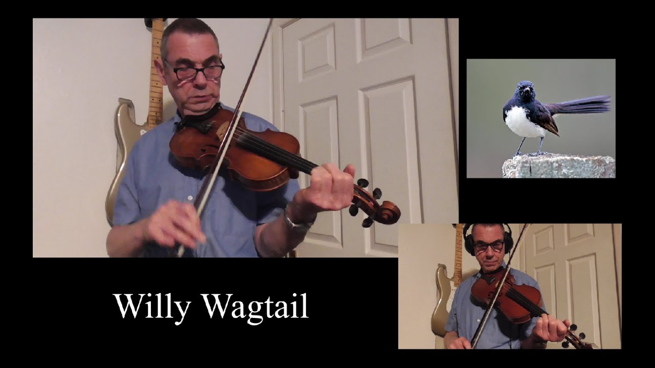 English Fiddle Tune - Willy Wagtail