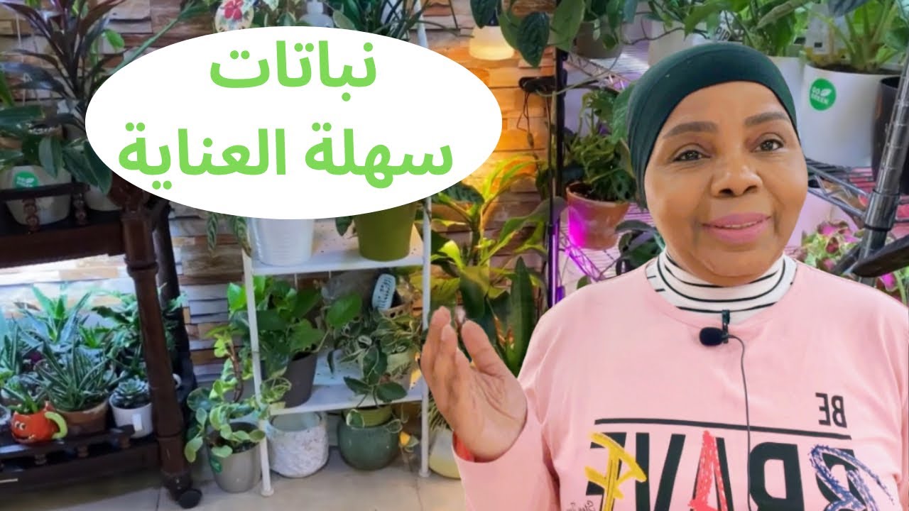 تعرف على أفضل النباتات للعناية في المنزل