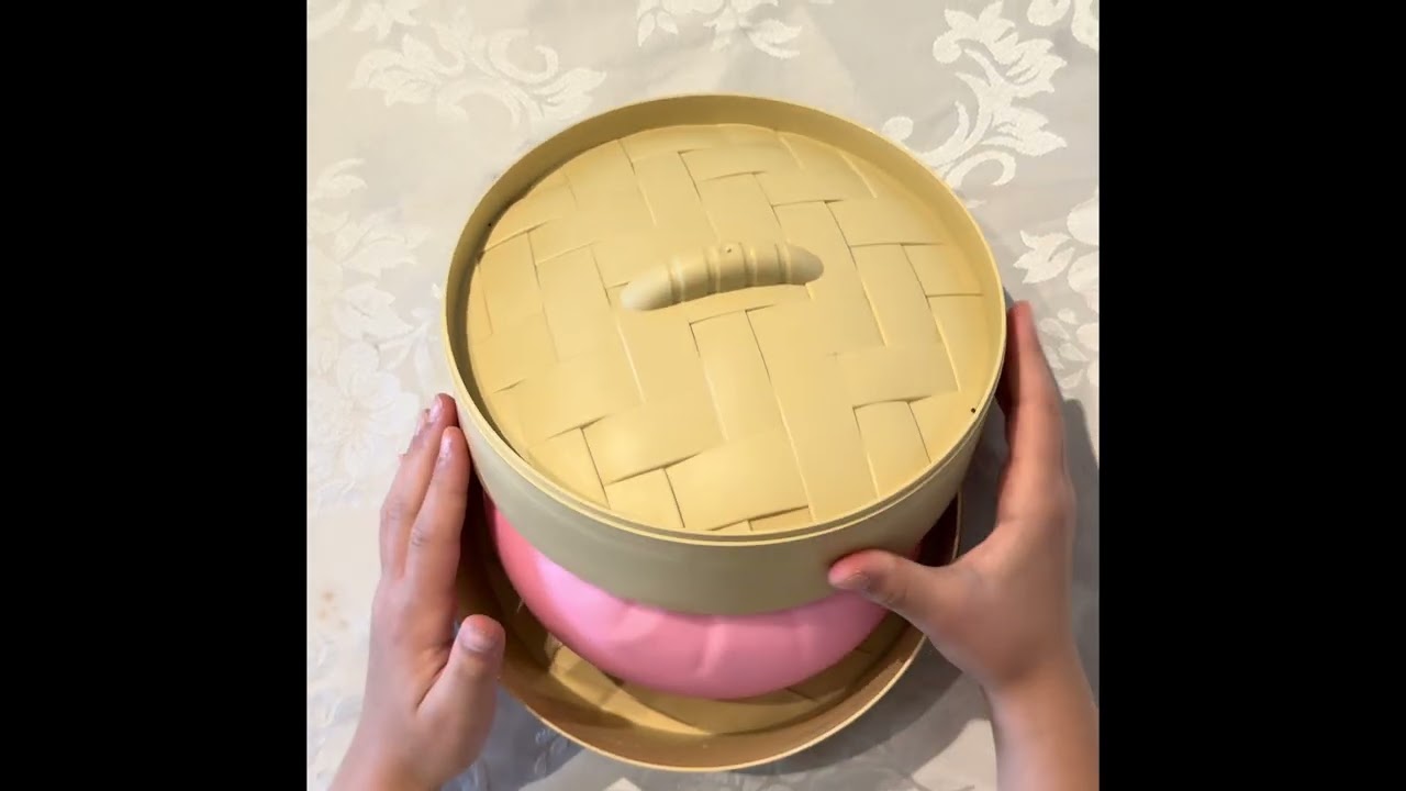The Most Satisfying Jumbo Dumpling Squishy
