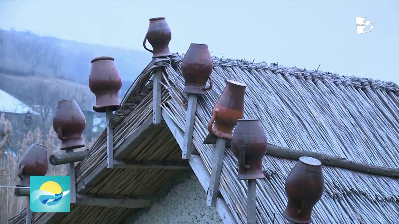 F&acirc;nt&acirc;na &icirc;n beci, m&acirc;ndria unui gospodar