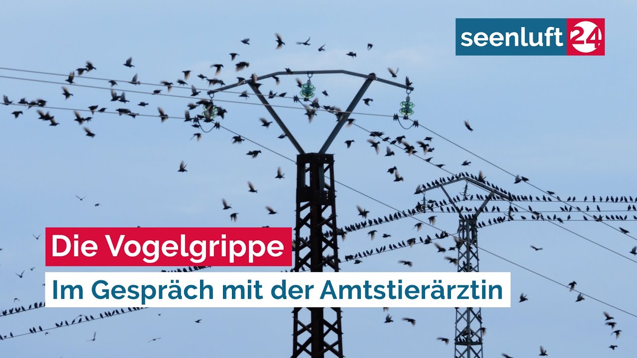 Die Vogelgrippe und ihre Auswirkungen