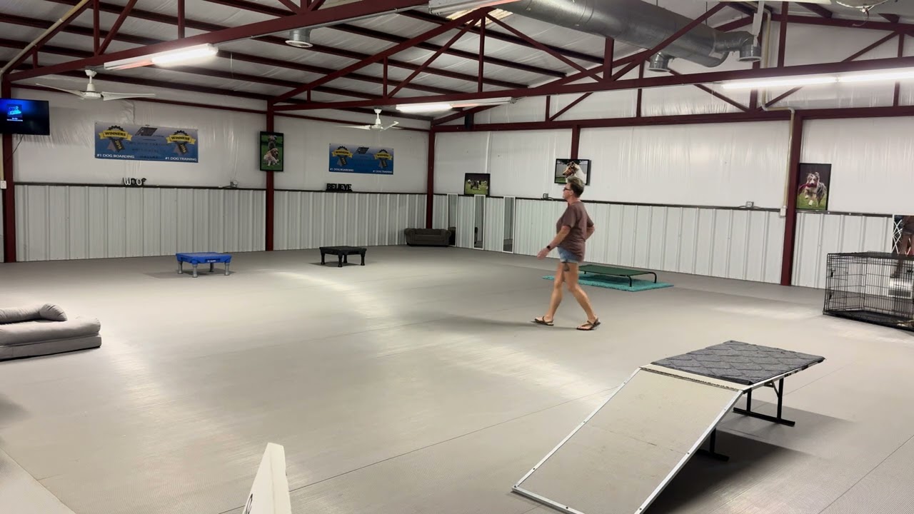 Sam-Board and Train Program 
