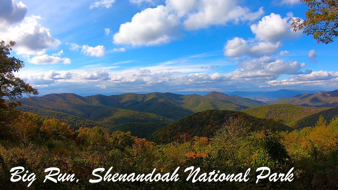 BIG RUN Brookies - Shenandoah National Park