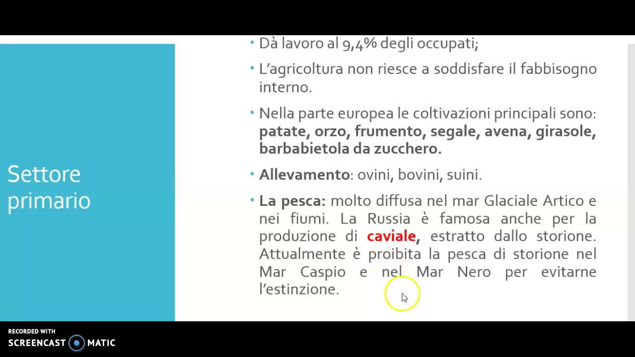 L'economia della Federazione Russa
