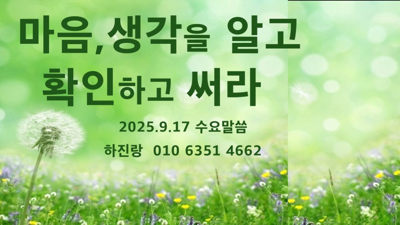 #1295 마음 , 생각을  알고   확인하고 써라