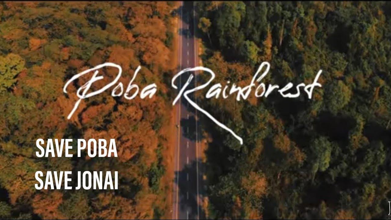 The Only Rainforest of Dhemaji District || Save Poba Save Jonai || The Great Poba Marathon Race 2019