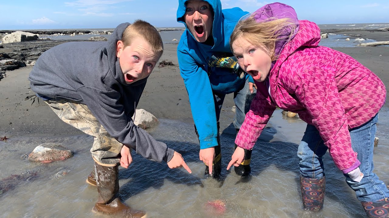 We Explored The Beach With The Lowest Tides In The USA