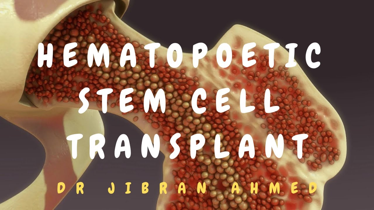 HEMATOPOETIC STEM CELL TRANSPLANT(HSCT) II HEMATOLOGY II POST GRADUATE LEARNING II SIMPLY PATHOLOGY