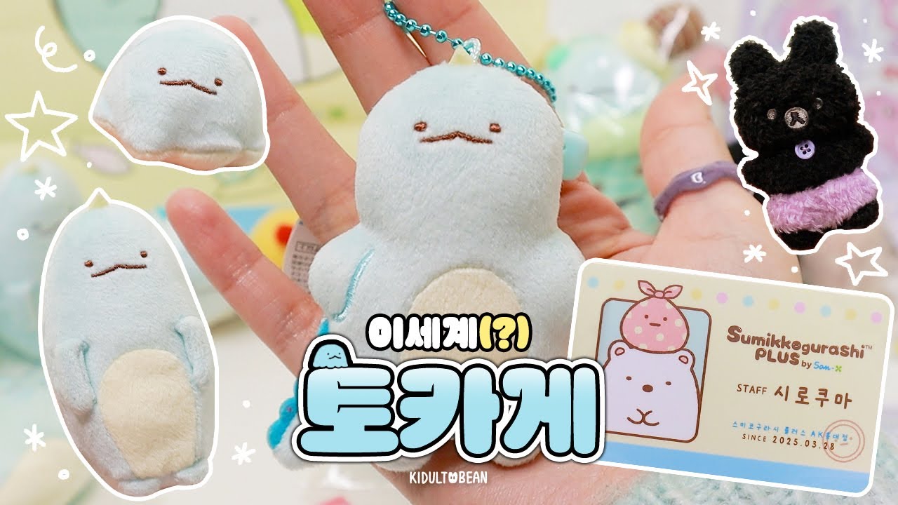 국내 최초! 스미코구라시 매장에서 구매한, 토카게 20만 원 하울 🦕