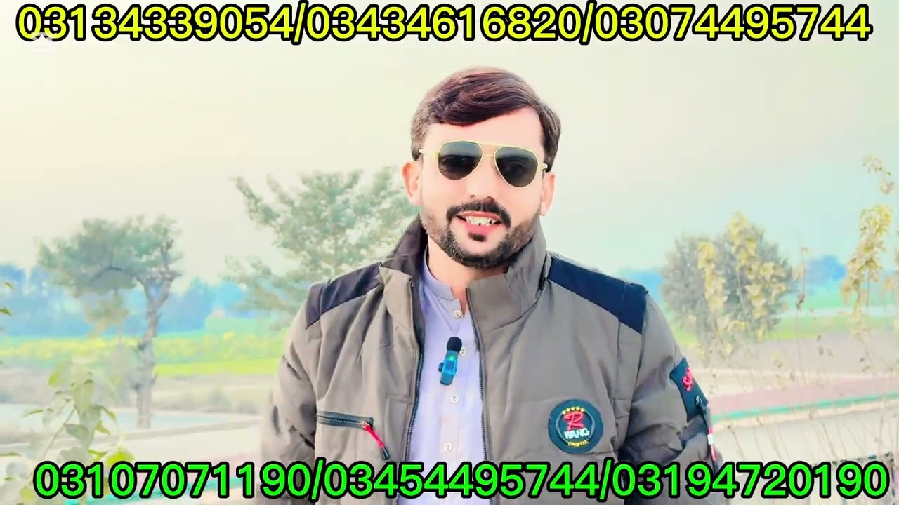 15 January 2026