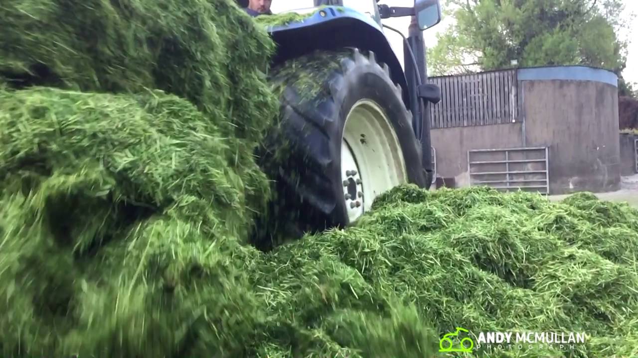 Buckraking Grass - New Holland T6010 - GoPro HD