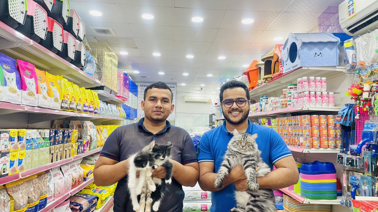 Pure Cat Pet Shop - Alkhobar